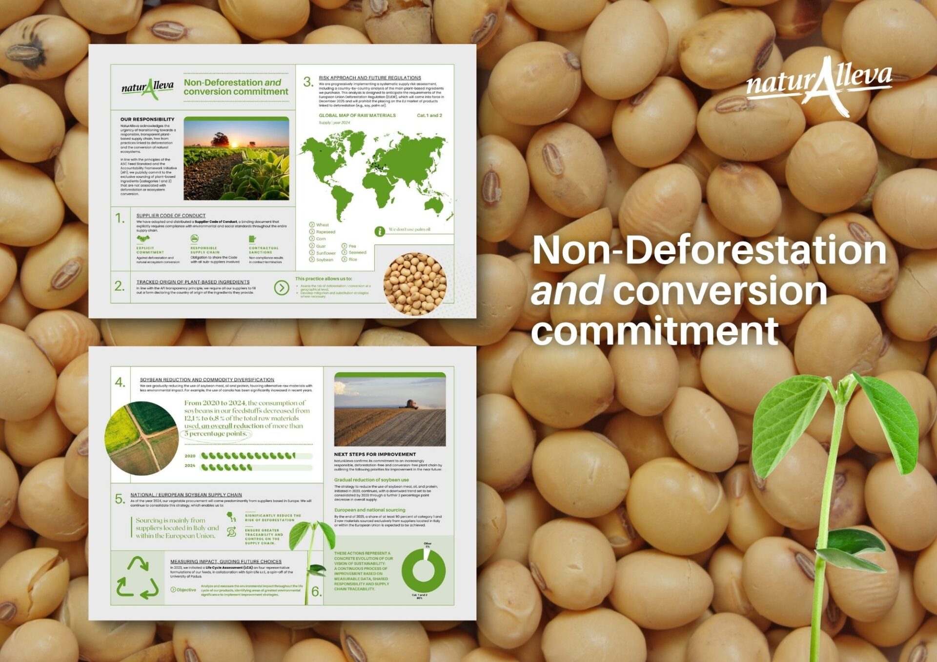 Non-Deforestation and conversion commitment